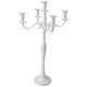 Chandelier Métal Blanc - 5 Branches - H80 cm